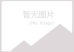 桃山区藏心水泥有限公司